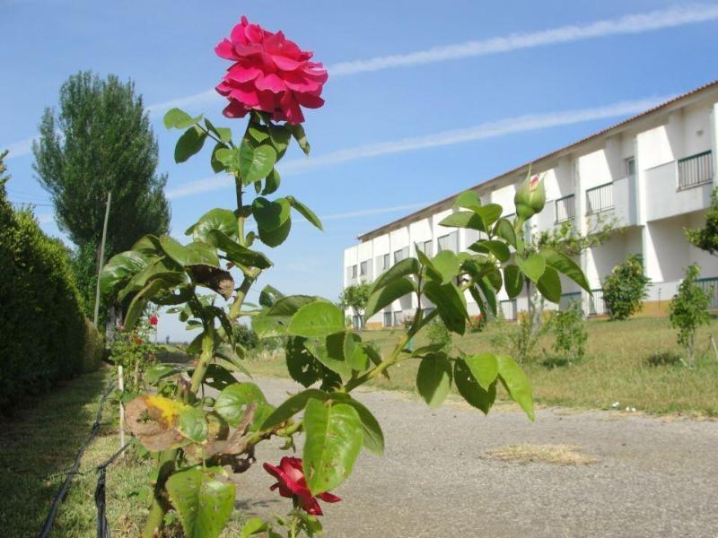 Estremoz Hotel Estremoz