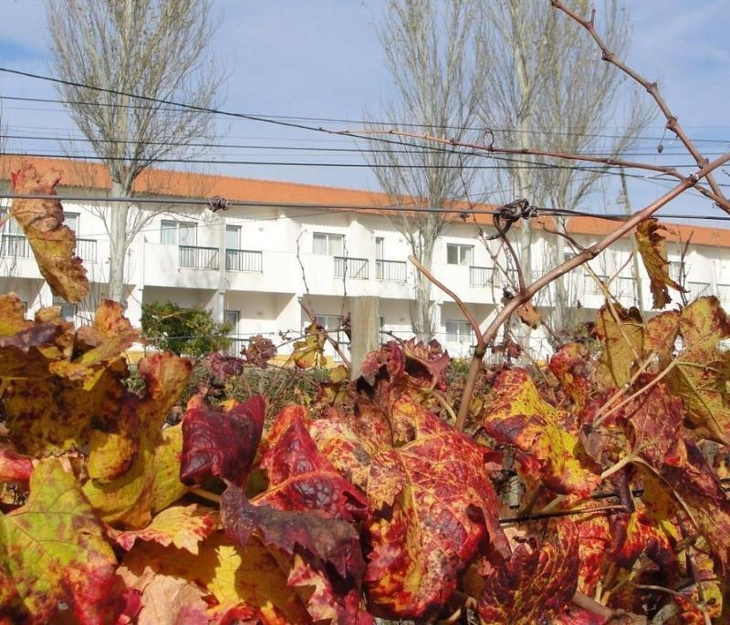 Estremoz Hotel