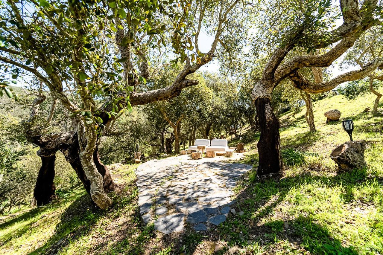 Salthouse Portugal - Exclusive