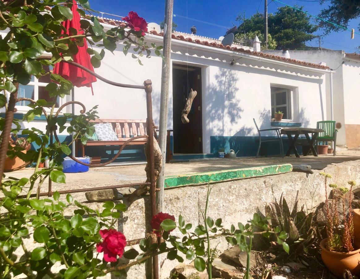 Vakantiehuis Casa Anneli - Relaxing Under The Olive Tree