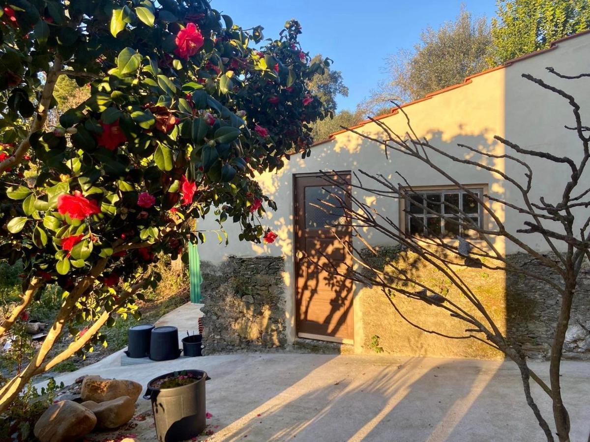 Relaxscape Guest house