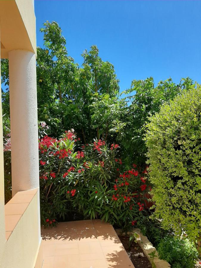 Guest house Aurora Sol 3*