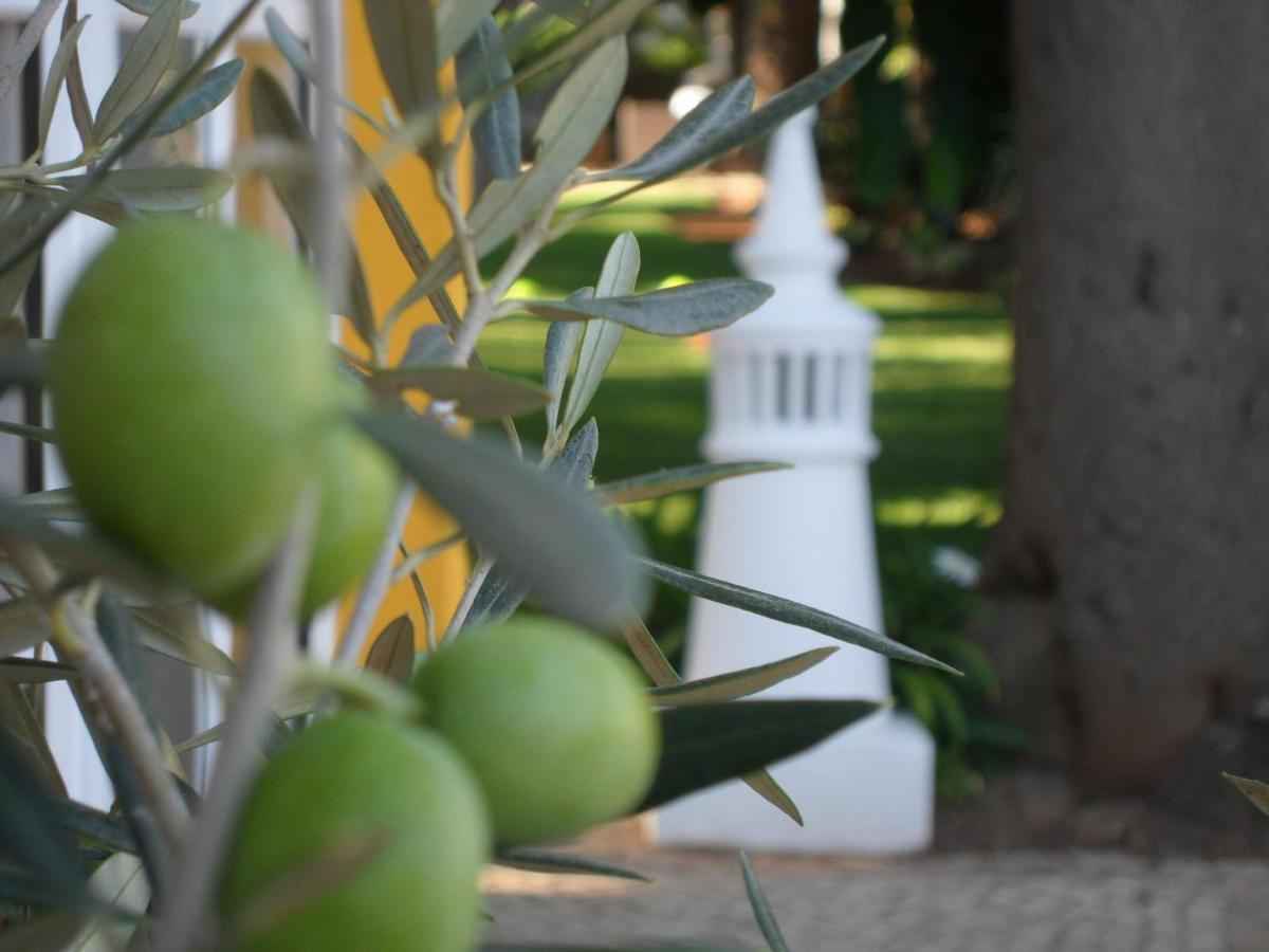 Quinta Paraiso Da Mia-tastefully Decorated T1 Praia Da Luz