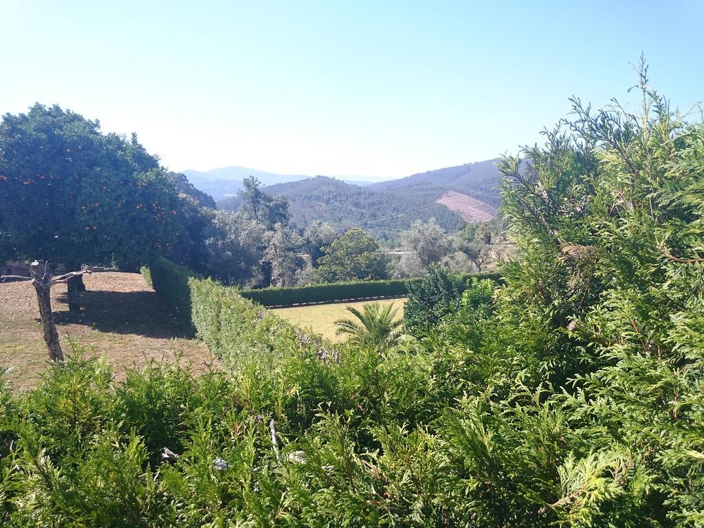 Solar Olival Da Vinha Castelo de Paiva