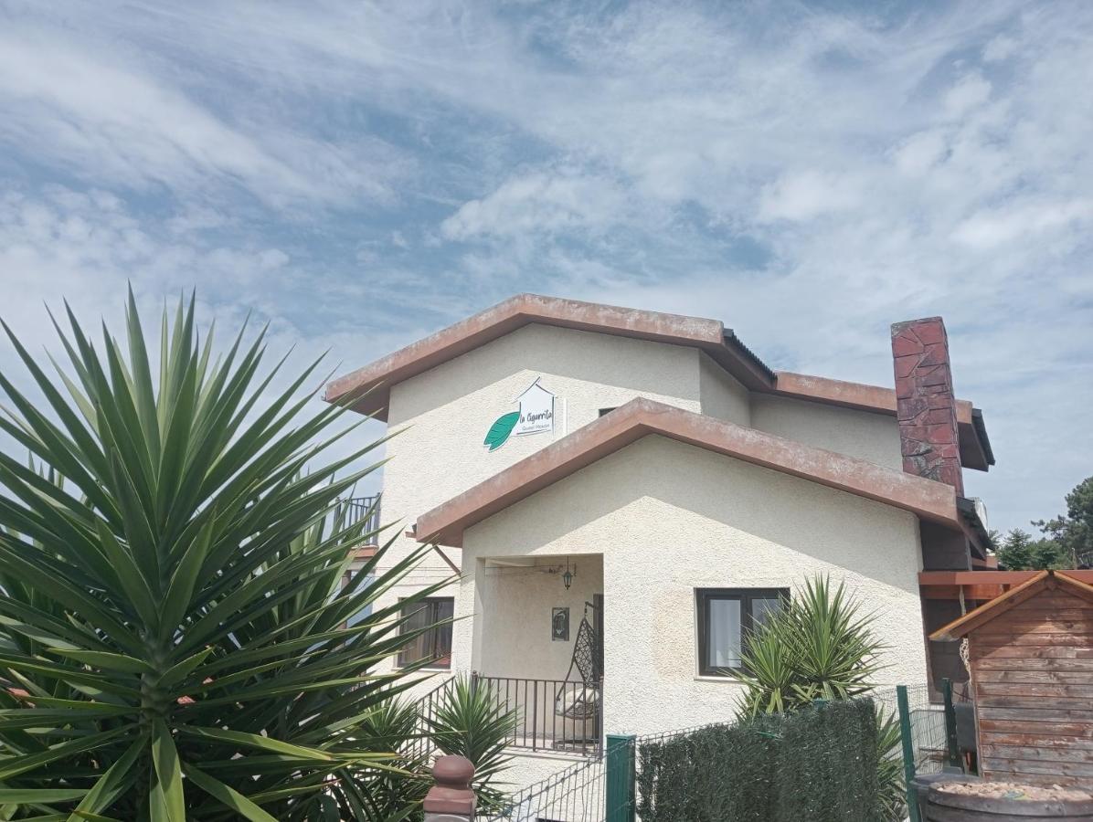 La Cigarrita - Douro Valley Holiday home