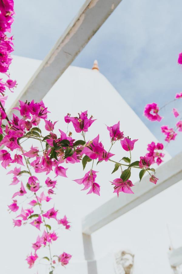 Guest house Senhora Do Cabo Meco Homy Holidays