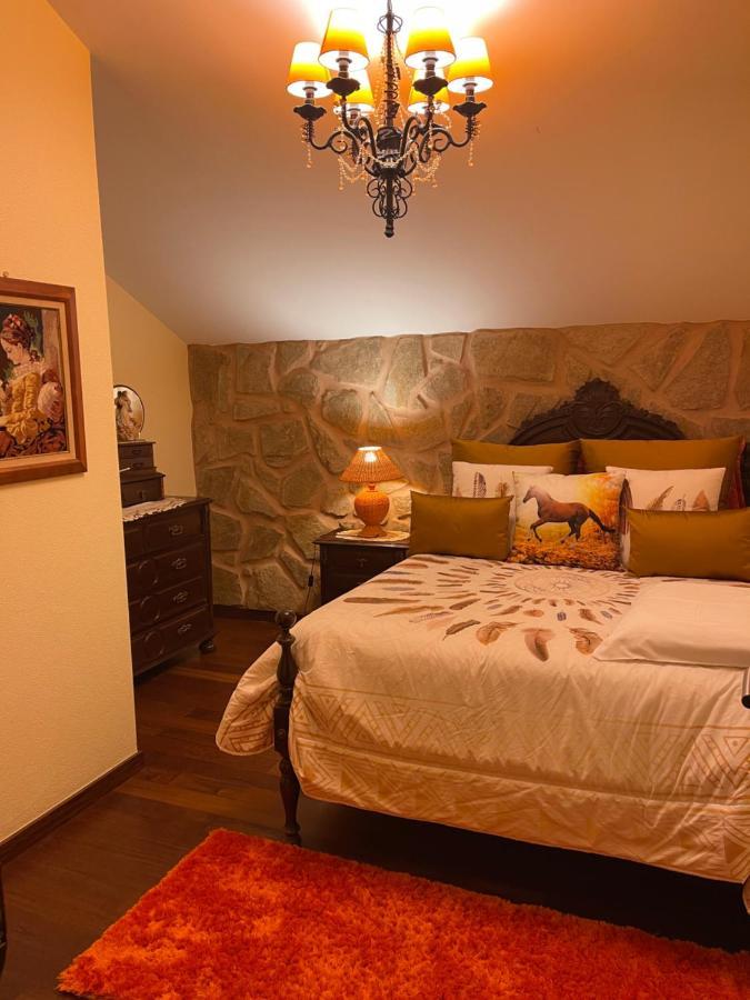 Safari Charm Ribeira Brava