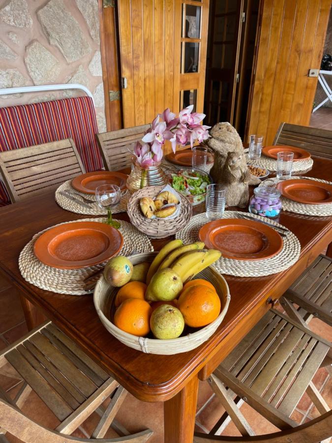 Safari Charm Holiday home