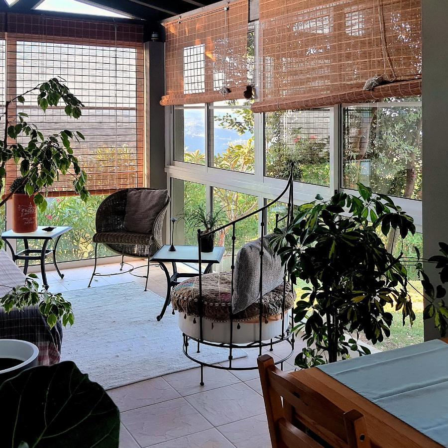 Casa Pavao Holiday home Sao Teotonio