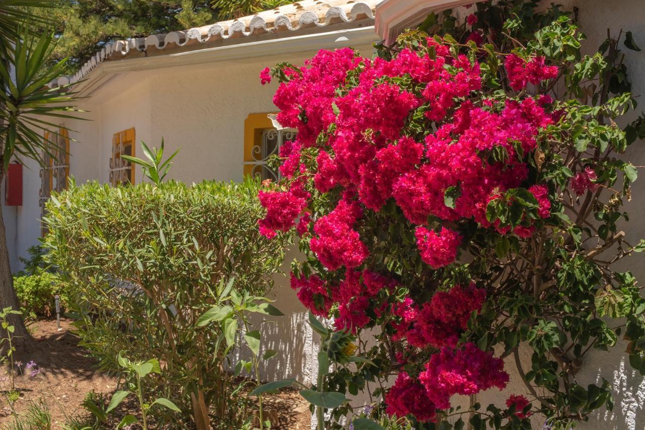 Quinta Paraiso Da Mia-tastefully Decorated T1 *