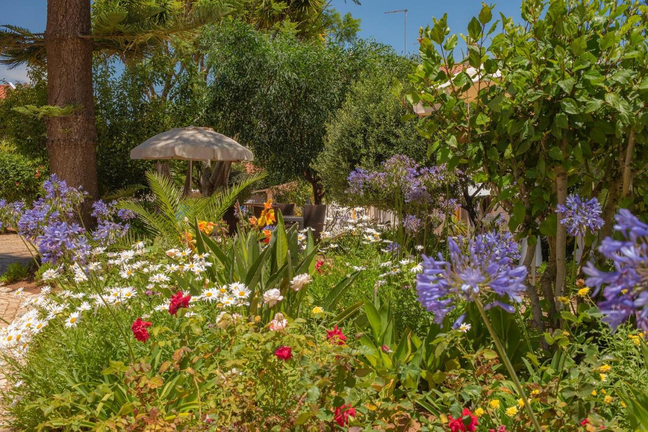 Quinta Paraiso Da Mia-tastefully Decorated T1 Apartment *