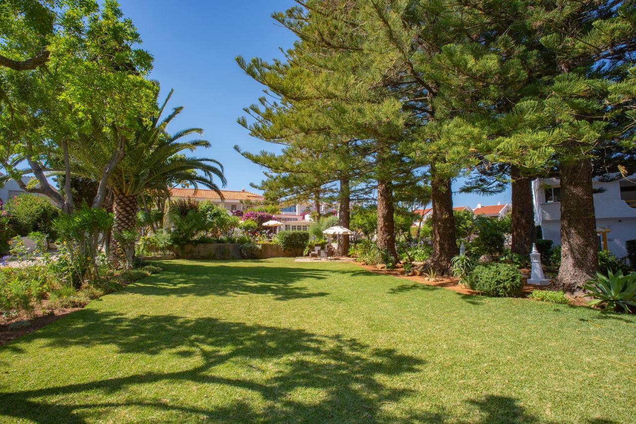 Quinta Paraiso Da Mia-tastefully Decorated T1
