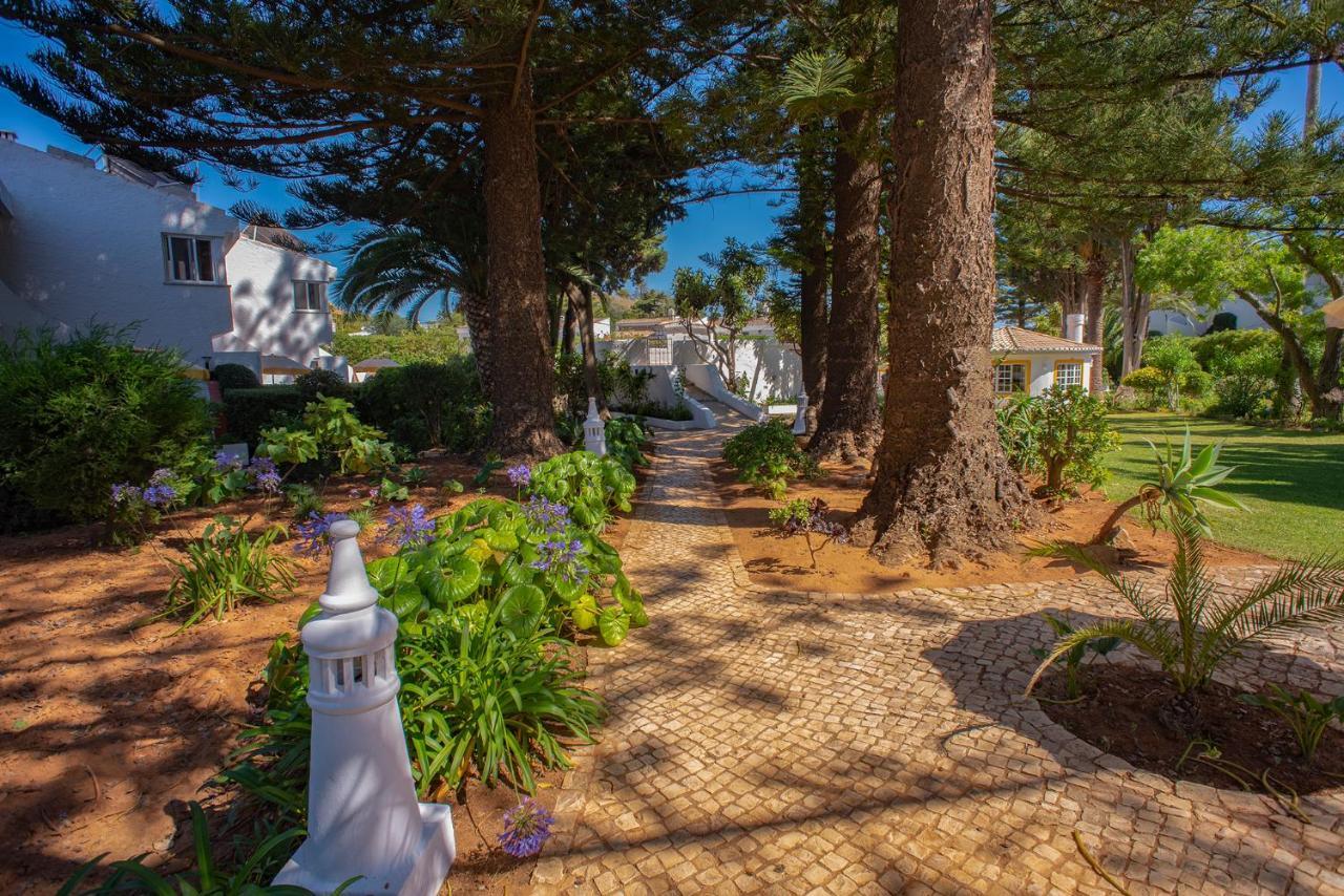 Apartment Quinta Paraiso Da Mia-tastefully Decorated T1