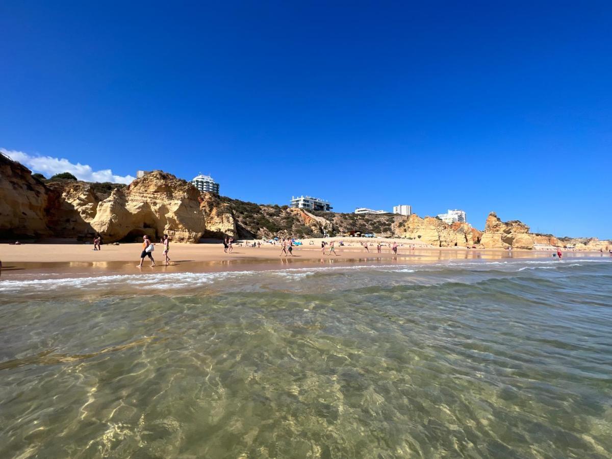 Ocean View - Amazing Sunset - Modern Style - Pool & 200m To Apartment *