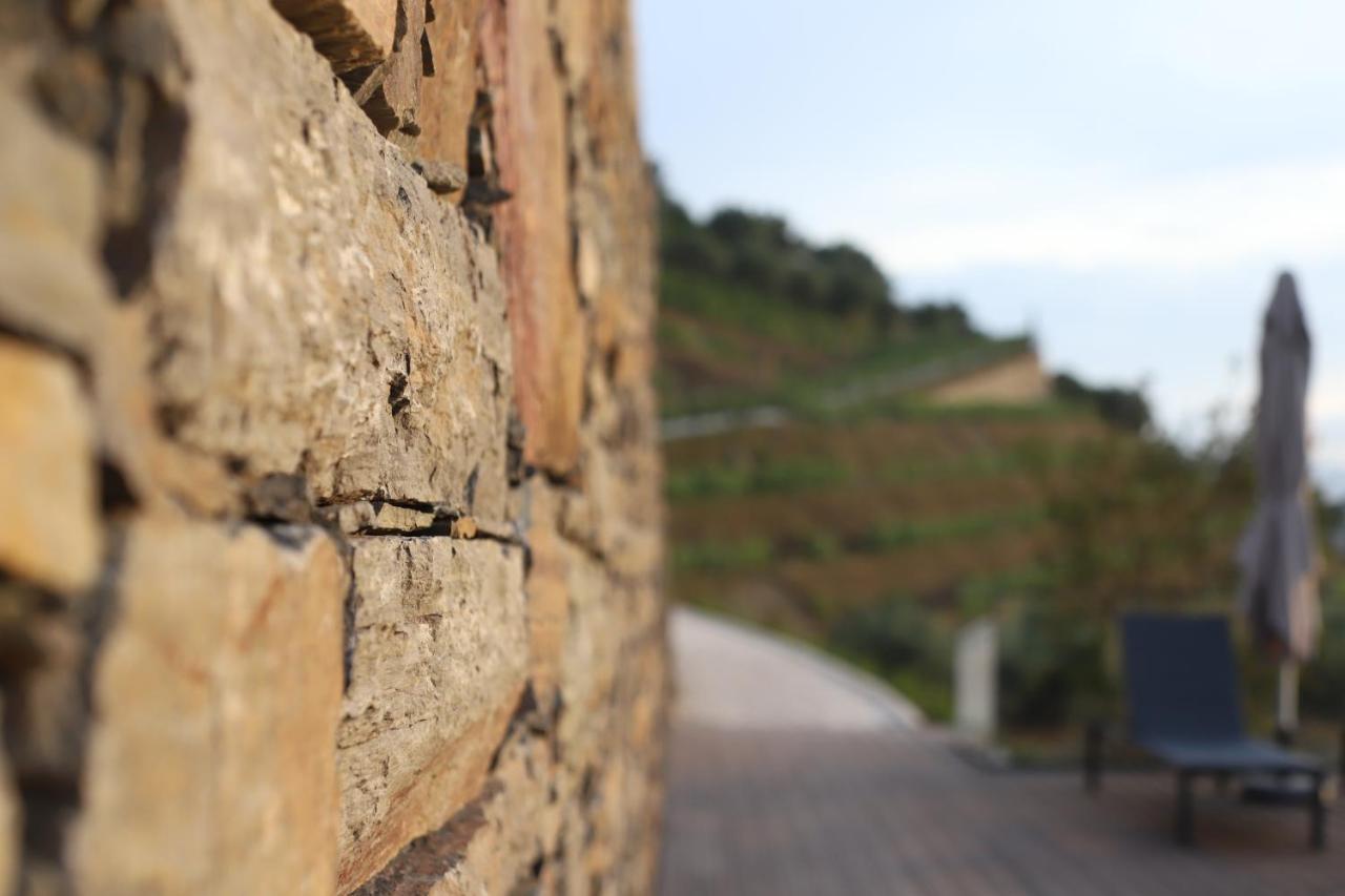 Quinta Vale De Lobos Douro Bed & Breakfast Folgosa (Armamar)