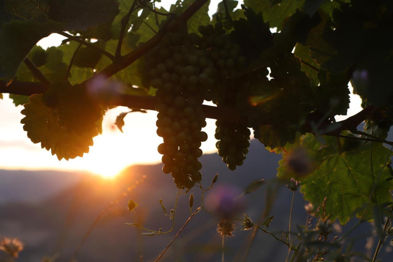 Quinta Vale De Lobos Douro Acomodação com café da manhã  *