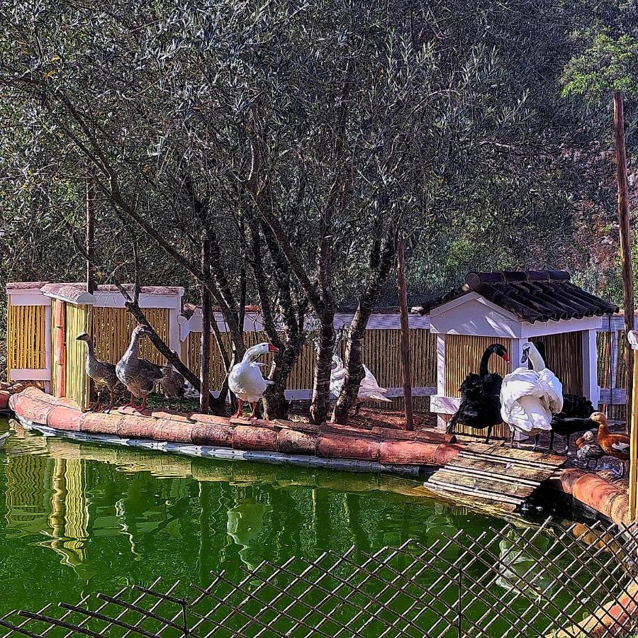 Casa Pavao Holiday home