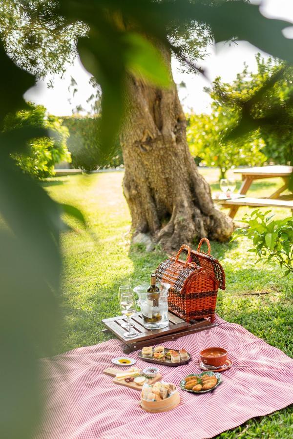 Farm stay Casa Lata - E Enoturismo *