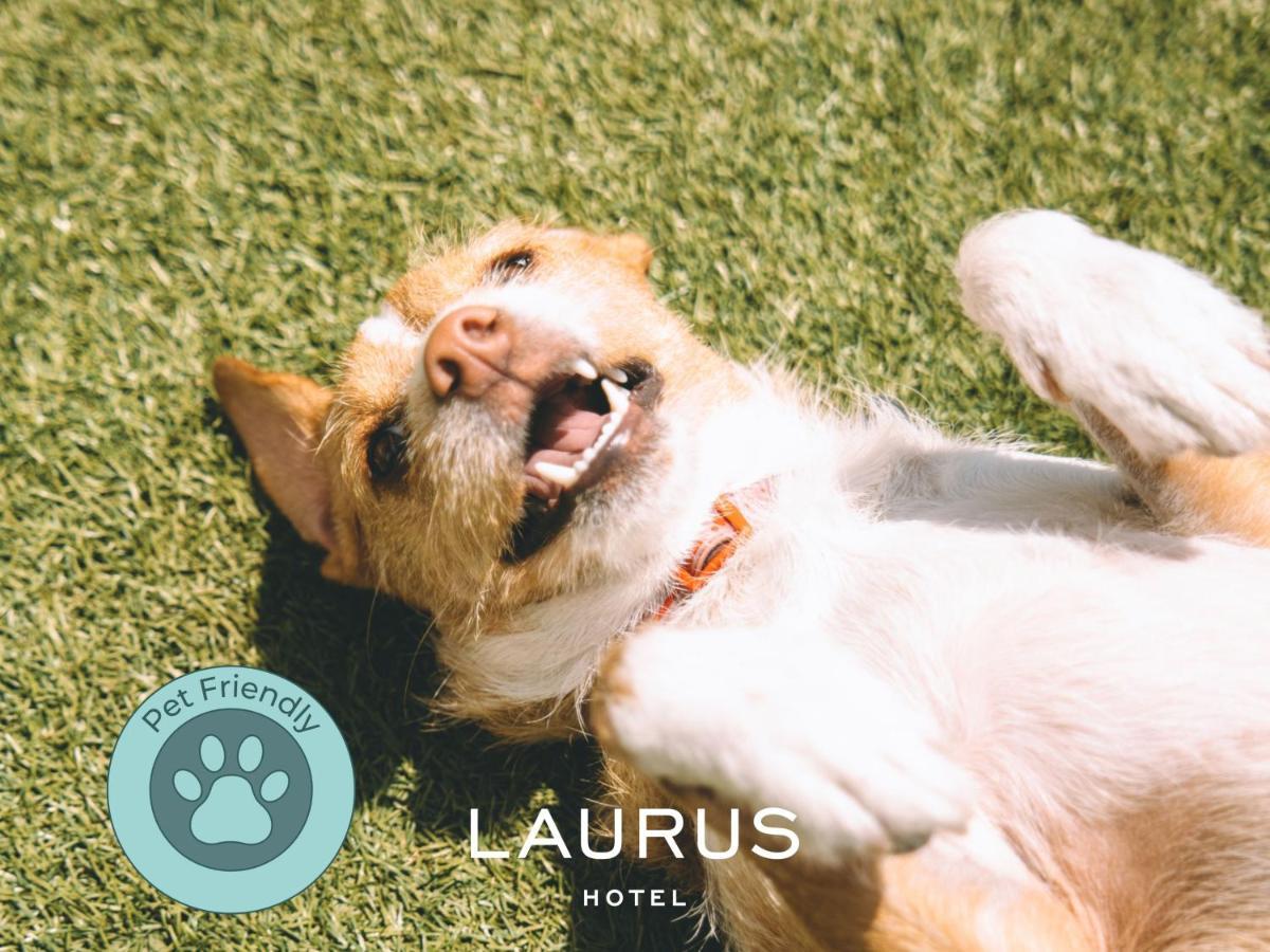 Laurus Hotel