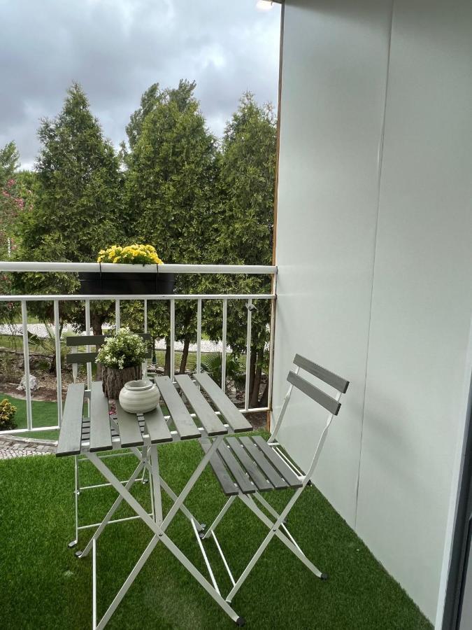 Quinta Lagus -