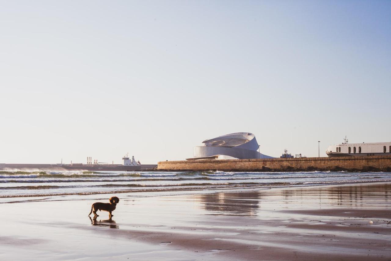 Oceanside Matosinhos - Ecohost Apartment
