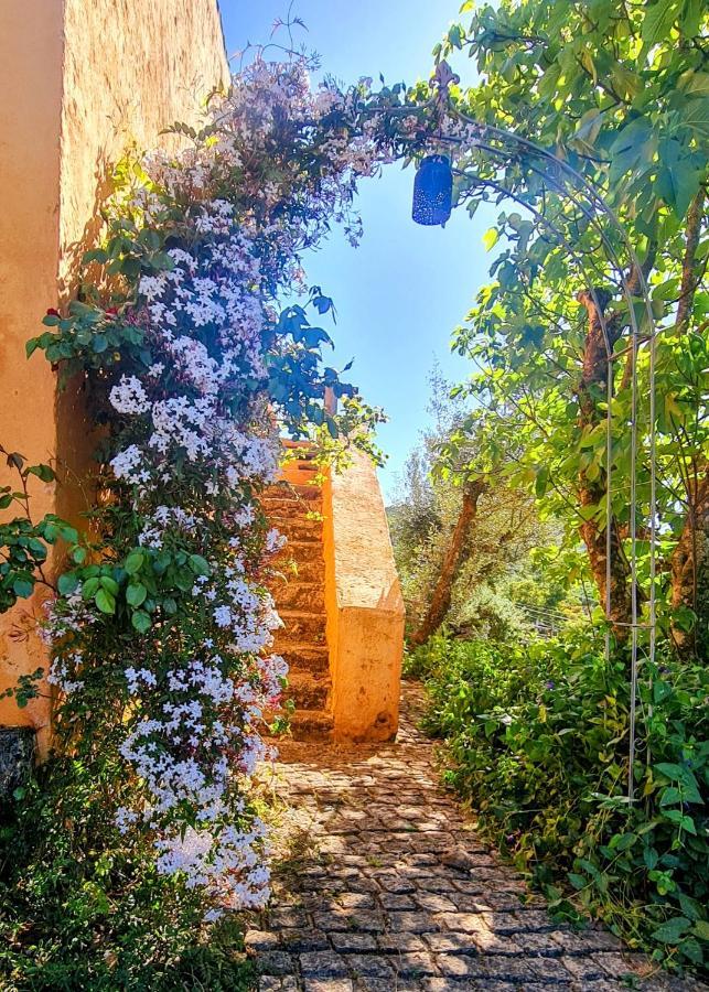 Quinta Do * Marvao (Portalegre)