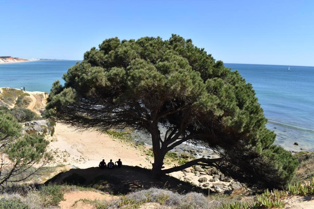 Varanda O Mar