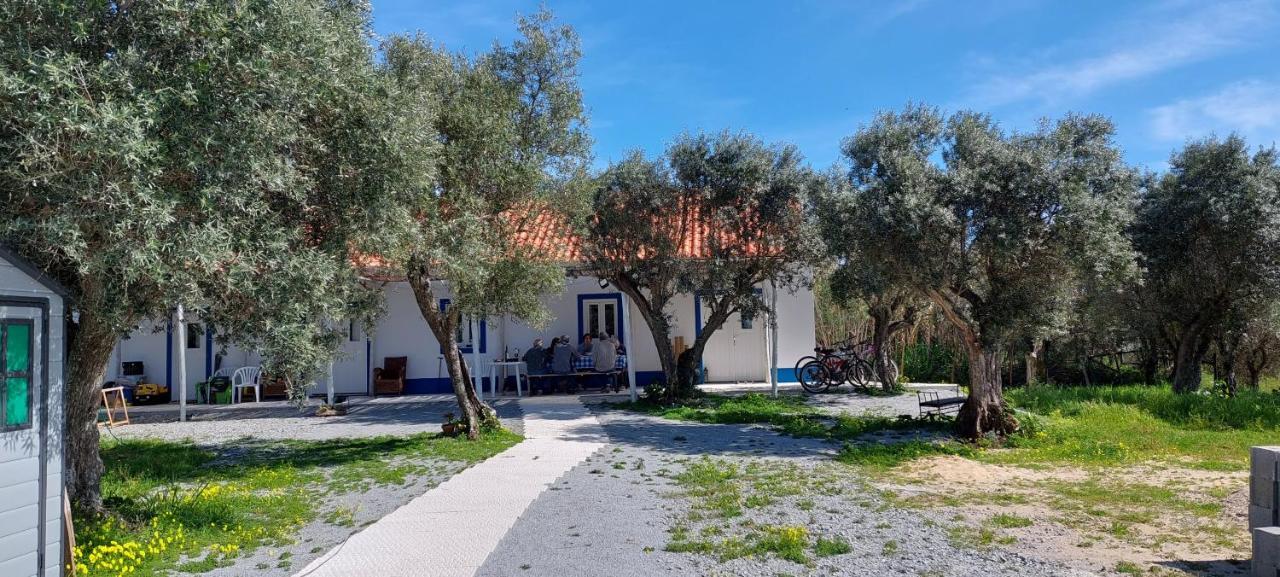 Monte Da Masmorra De Baixo-casa Alentejana Vakantiehuis *