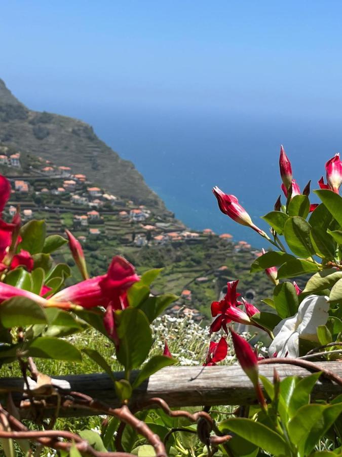 Tropical House Holiday home Ribeira Brava
