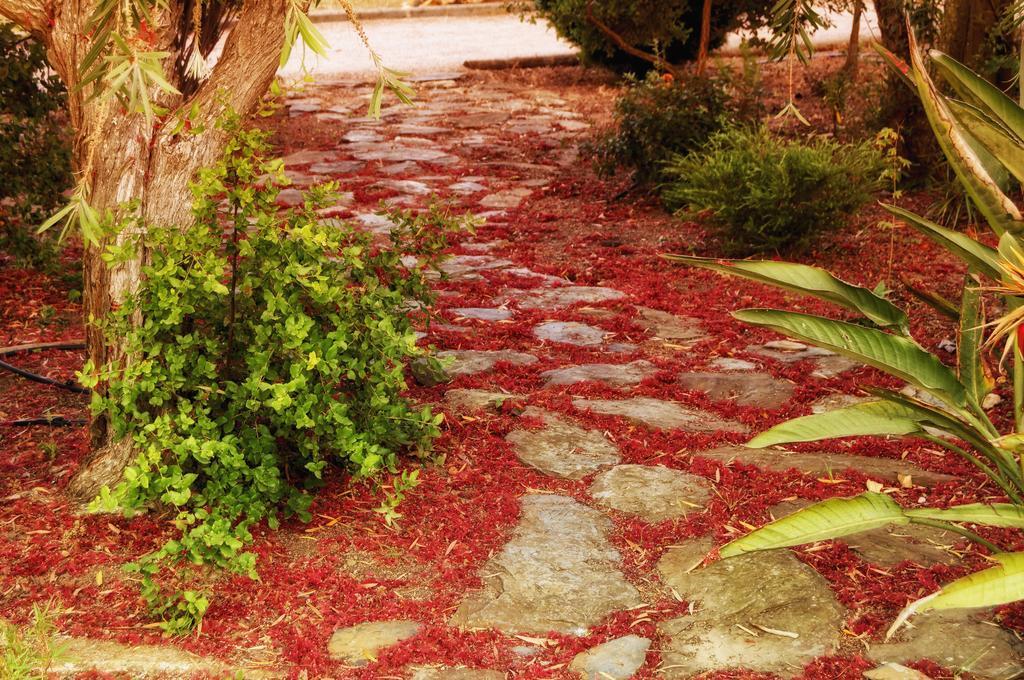 Country house Cabra - Porto Covo