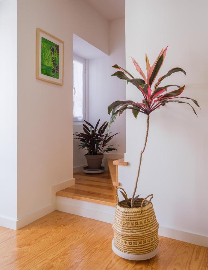 Botanic Garden Duplex *
