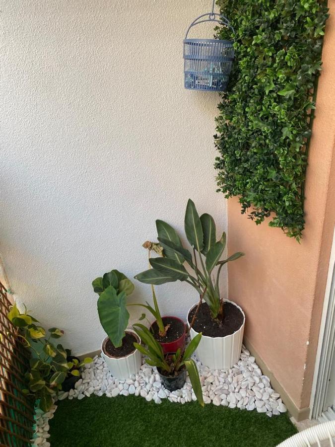 Apartment Costa Azul