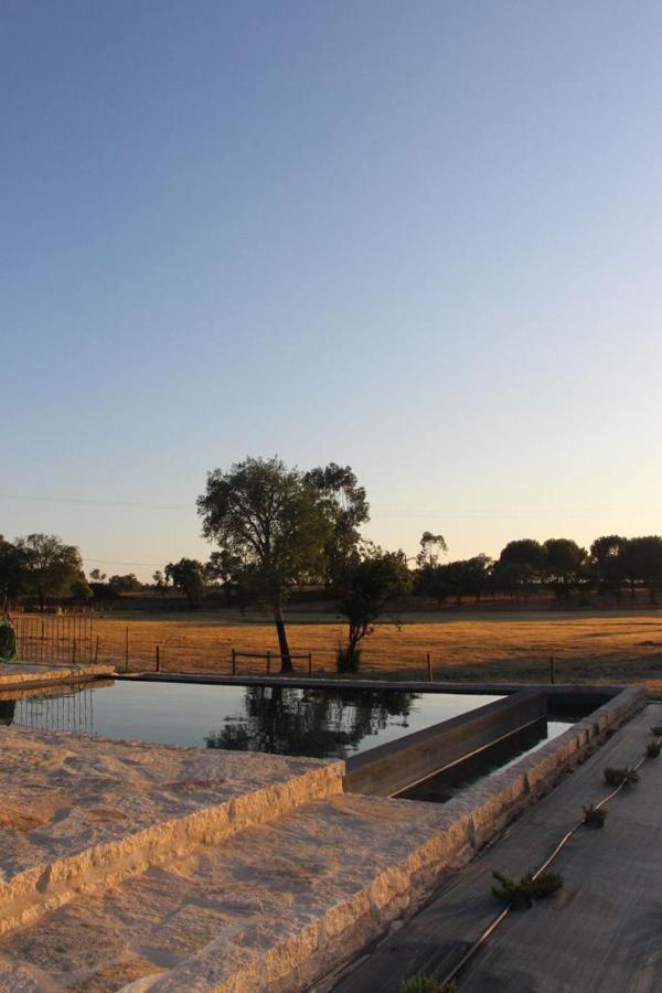 Kochab Alentejo By Portus Alacer Crato