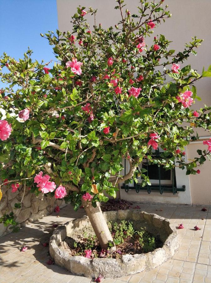 Belavista With Private Pool Holiday home Ferragudo (Faro)
