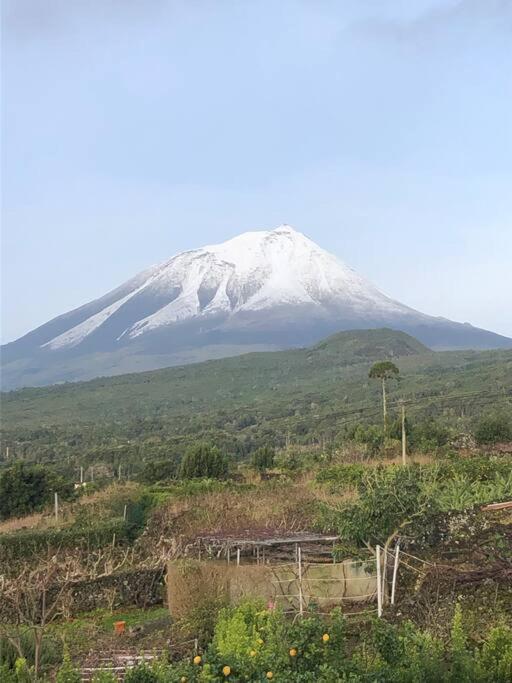 Picocomigo Lajes do Pico