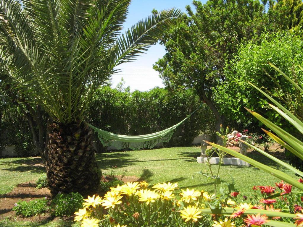 Quinta Dos Oliveiras 3* Carvoeiro (Lagoa)
