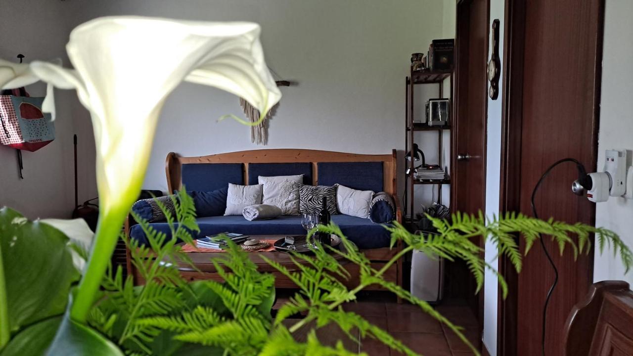 Holiday home Casa Azul *
