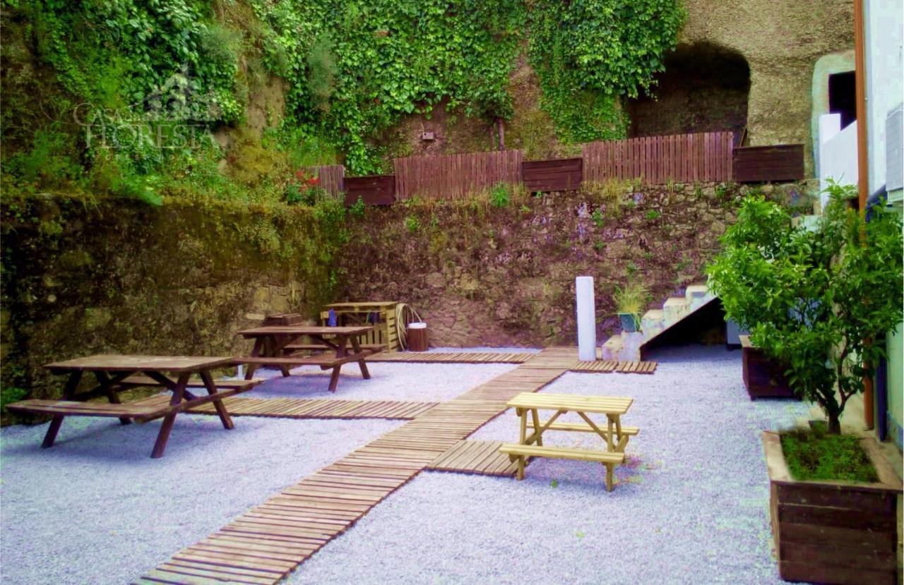 Casa Da Floresta