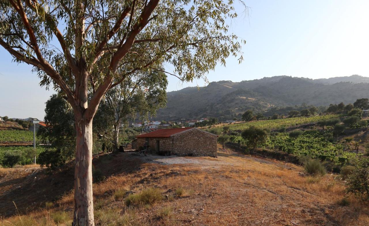 Quinta De Gandarem Torre De Moncorvo