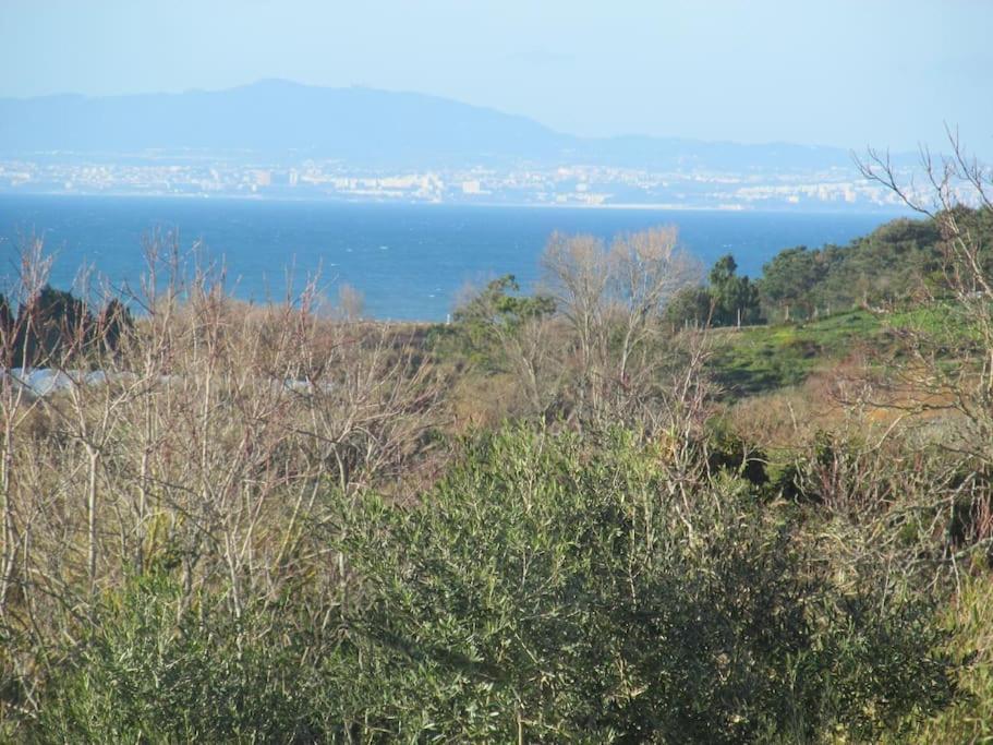 Casa Do Meco Holiday home