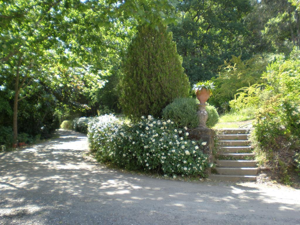 Quinta Da Vargem Gasthuis *
