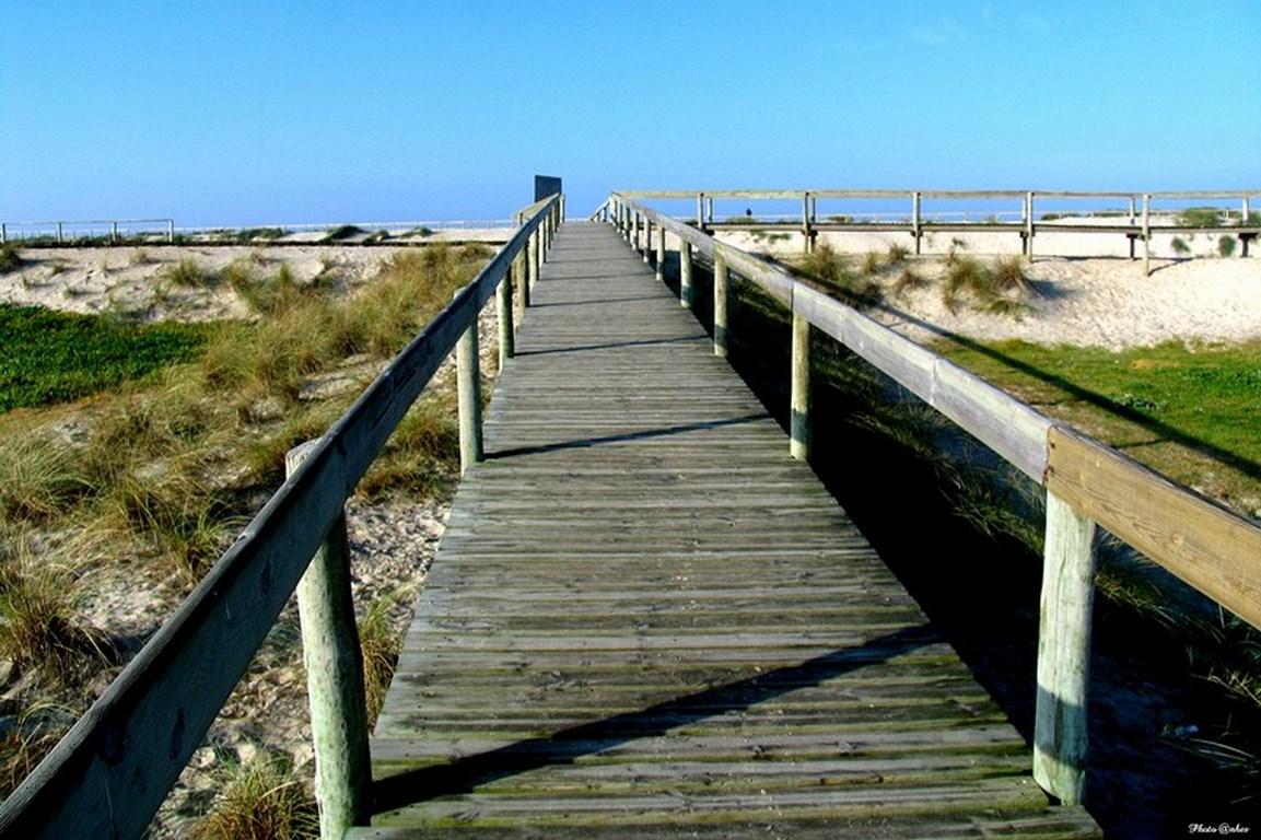 Moliceiro Aveiro