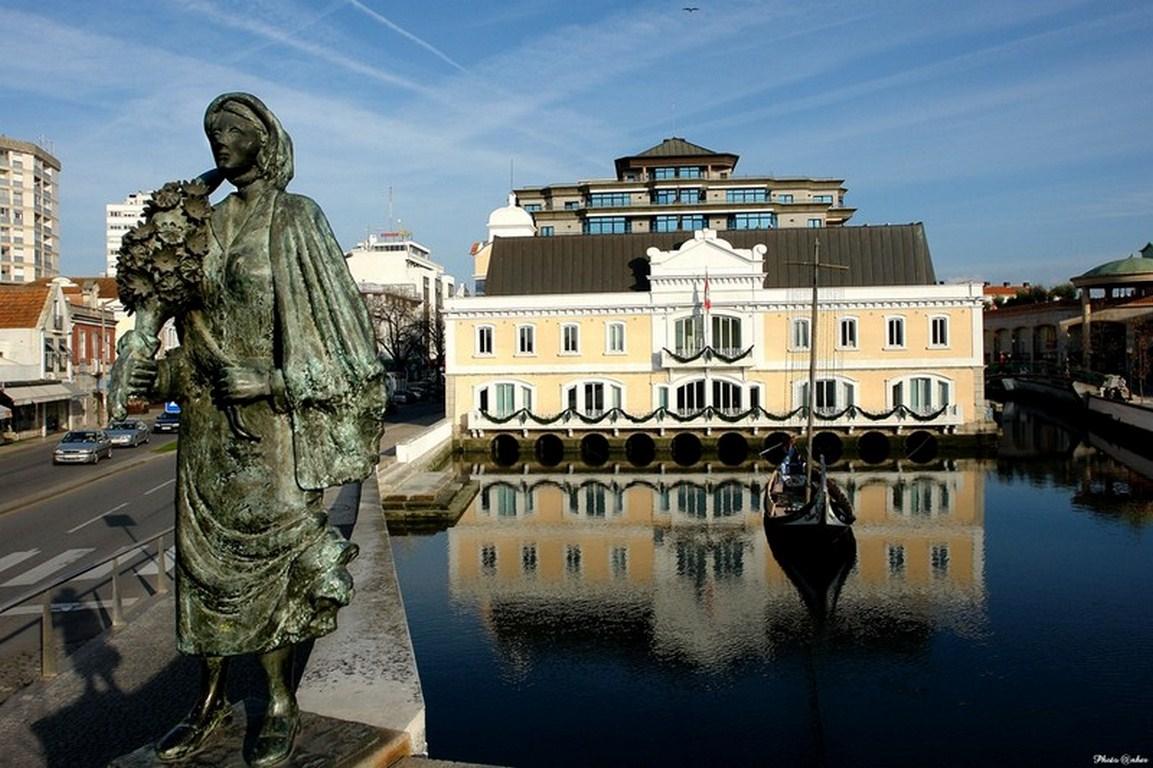 Moliceiro Hotel