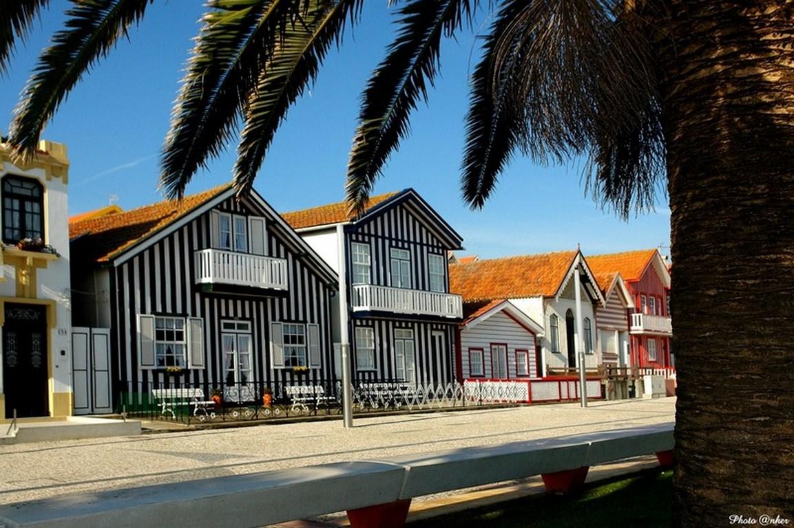 Moliceiro Aveiro