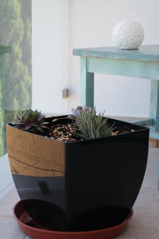 Appartement Quinta Nova Alvor