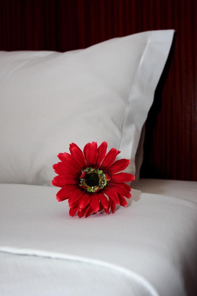 Hotel Galeria Aveiro