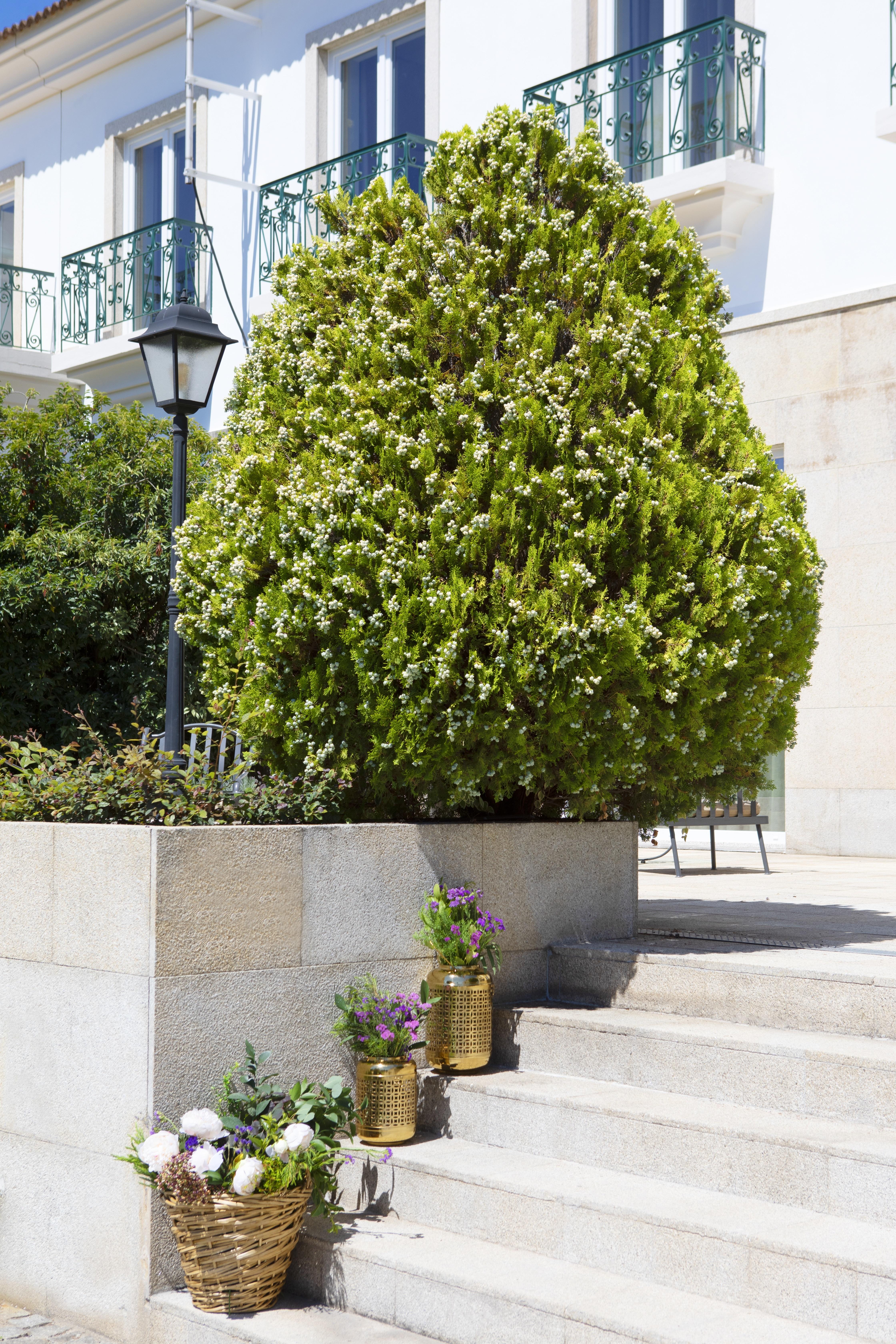Montebelo Principe Perfeito Garden Viseu