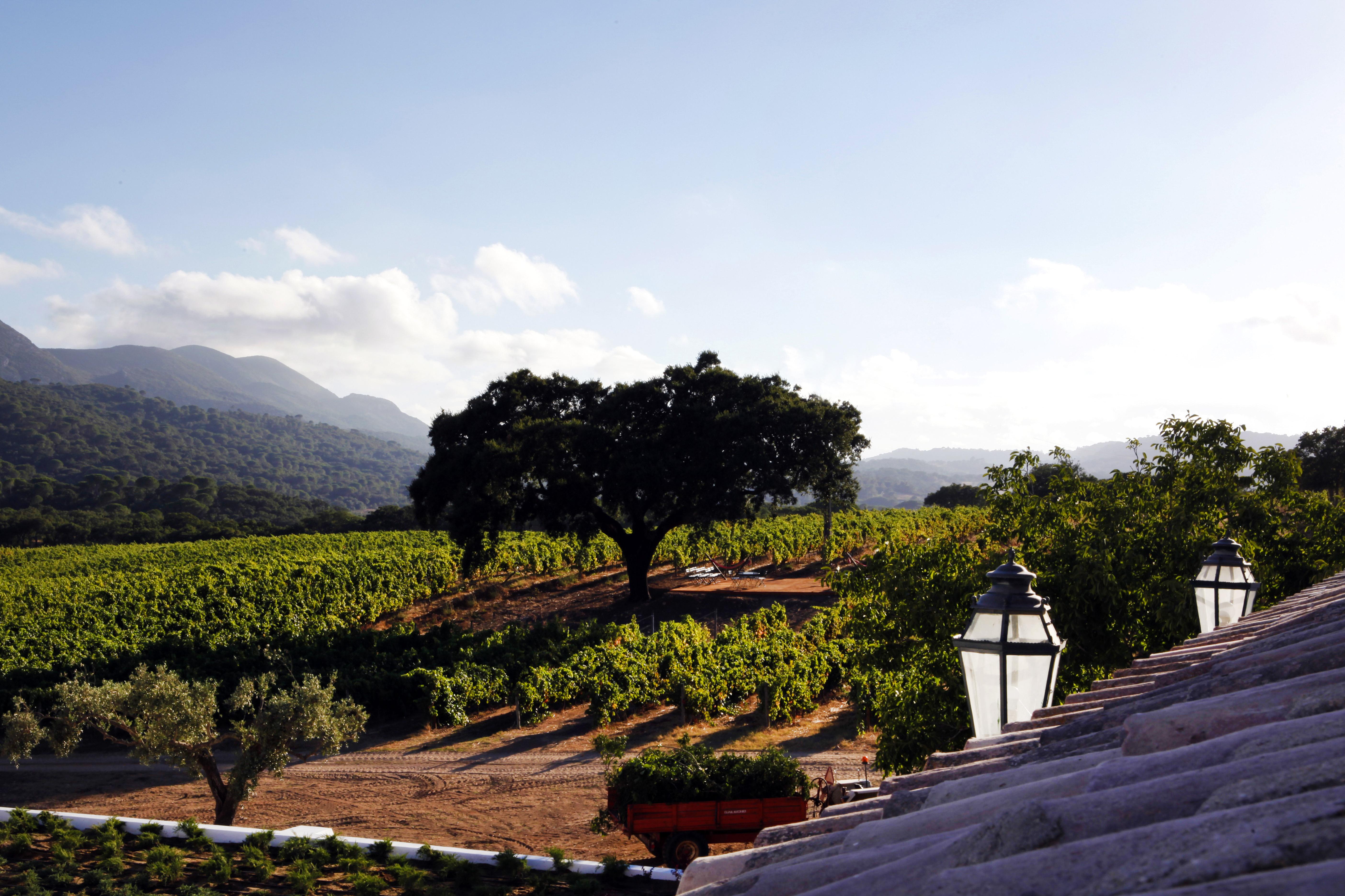 Casa Palmela - Small Luxury Of The World, & Hotel 5*