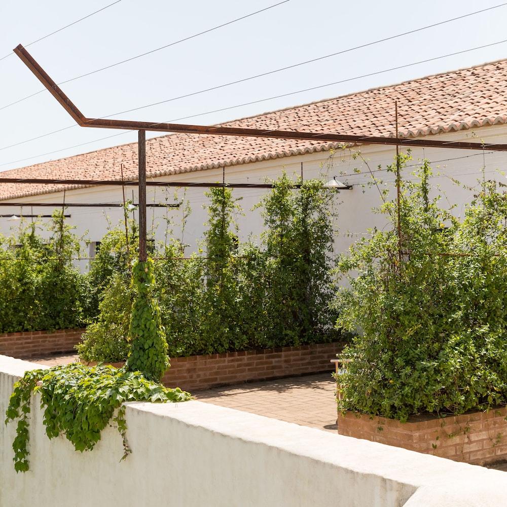 Sao Lourenco Do Barrocal Hotel 5*