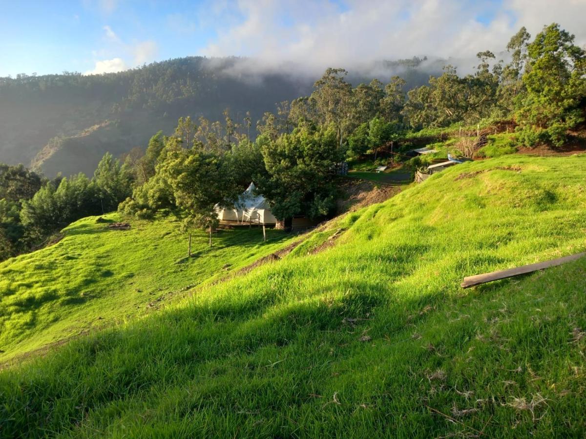 Campsite Arambha Ecovillage
